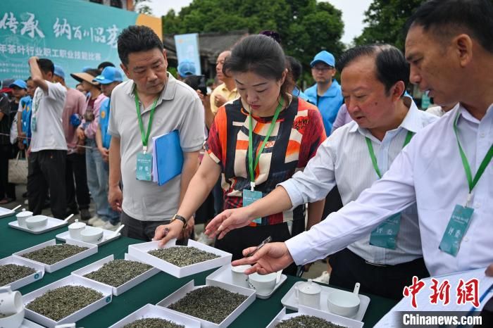 关于四川洪雅制茶人指尖上较量“真功夫”的信息(8)