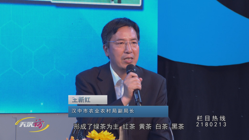 关于全力推动茶产业高质量发展 汉中这样做的相关信息(3)