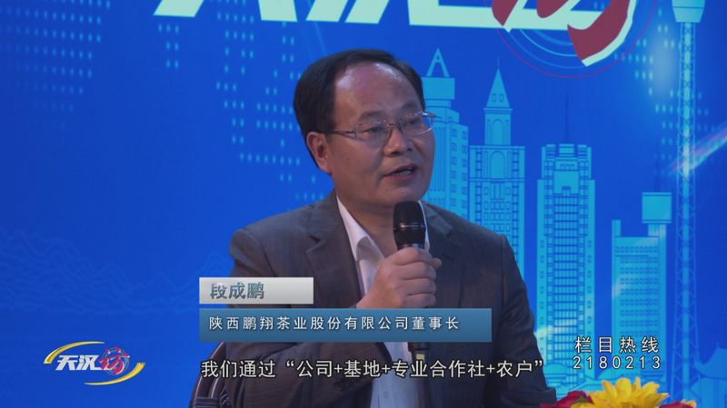 关于全力推动茶产业高质量发展 汉中这样做的相关信息(9)