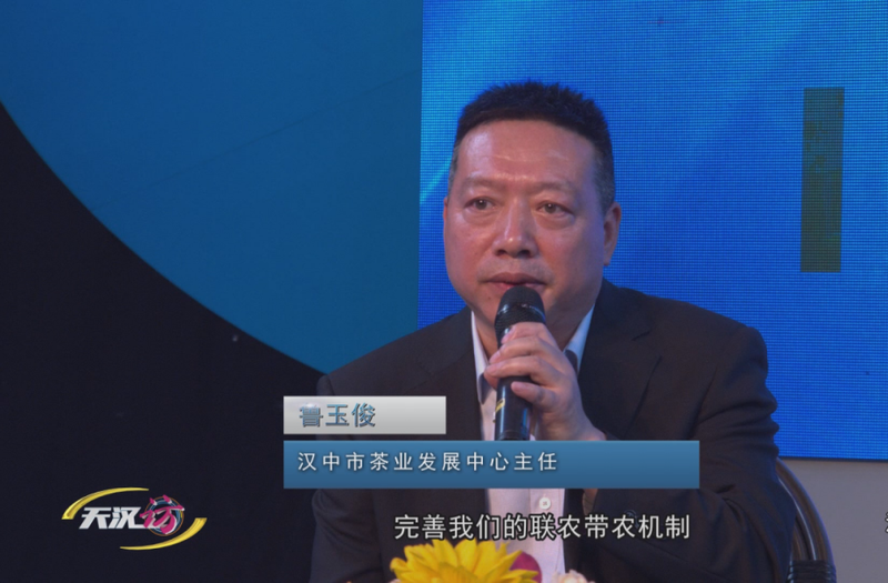 关于全力推动茶产业高质量发展 汉中这样做的相关信息(10)