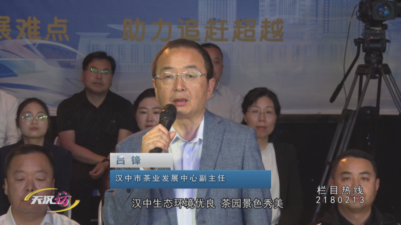 关于全力推动茶产业高质量发展 汉中这样做的相关信息(5)