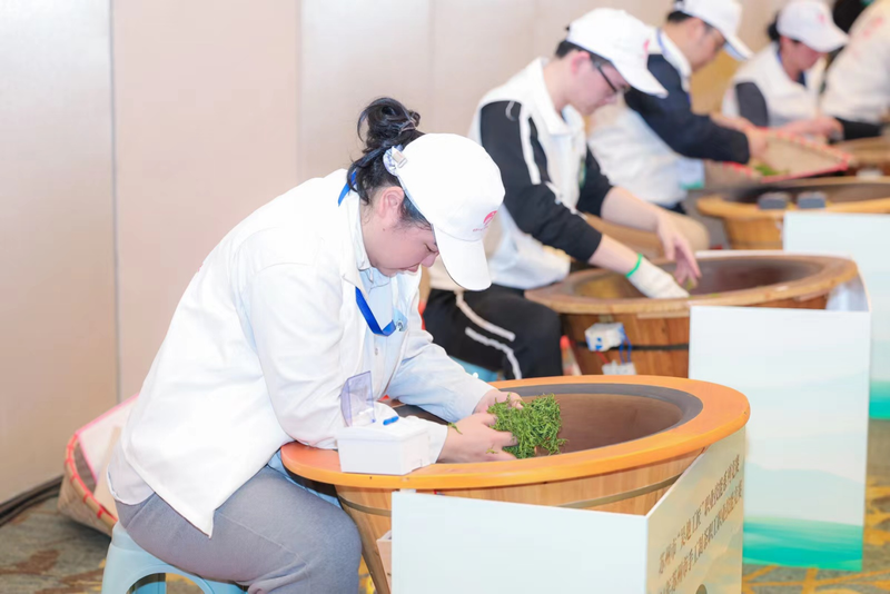 关于茶乡“后浪”为我市茶产业高质量发展注入“活水”的资讯(6)