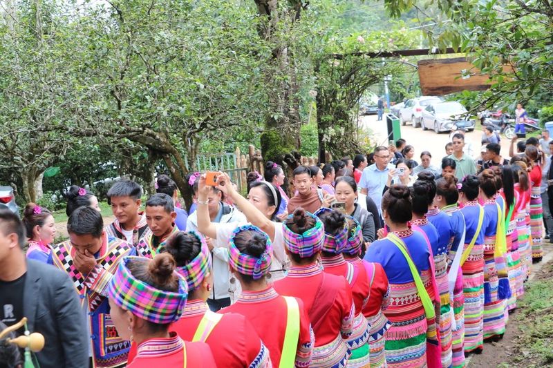 有关于勐海县举行“1991·一山一韵”西双版纳州古树茶溯源计划启动仪式暨“中国普洱茶第一山的内容(1)