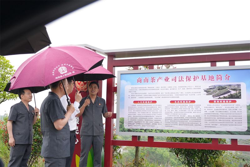有关于全市首家茶产业生态环境司法保护基地在商南挂牌成立的信息(4)