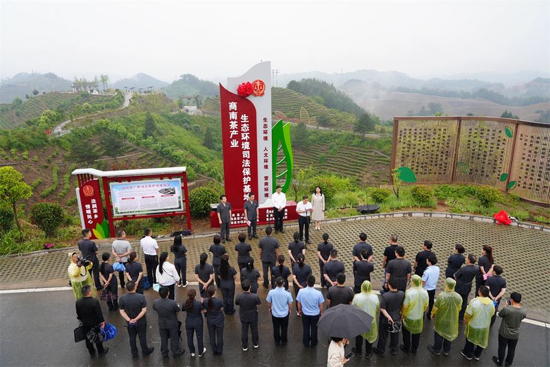 有关于全市首家茶产业生态环境司法保护基地在商南挂牌成立的信息(5)