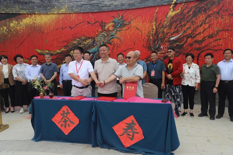 有关于“健康中国·茶寿共识”2024首届中国茶寿文化节亮点纷呈的相关内容(9)