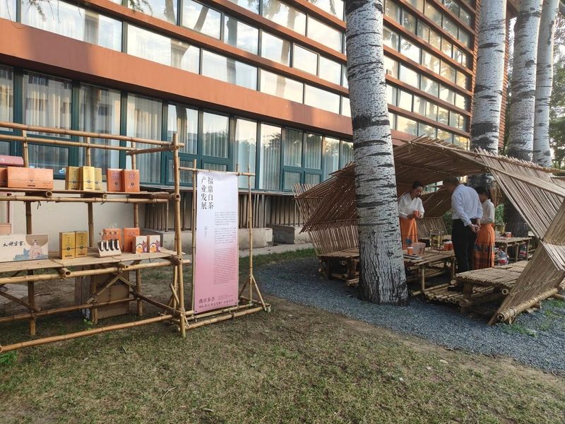 关于福鼎白茶飘香北京城——“偶得茶荟”的最新消息(10)