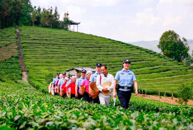 关于保山腾冲市 这“警茶”，香！的新闻(2)
