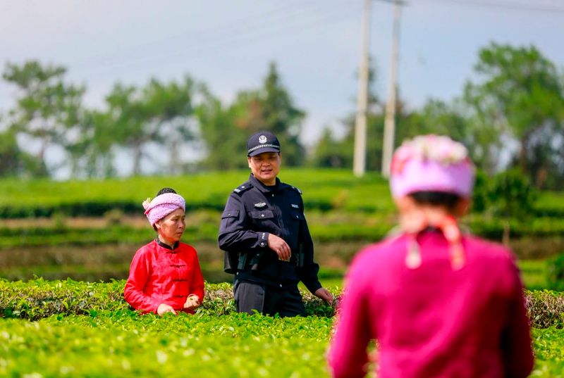 关于保山腾冲市 这“警茶”，香！的新闻(4)