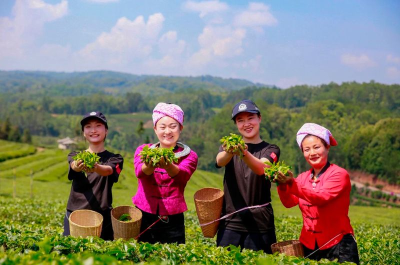 关于保山腾冲市 这“警茶”，香！的新闻(5)