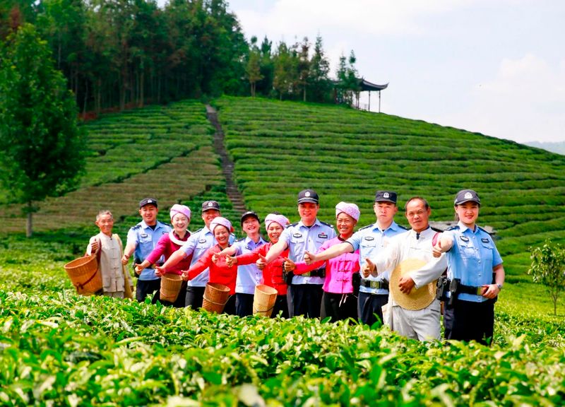 关于保山腾冲市 这“警茶”，香！的新闻(8)