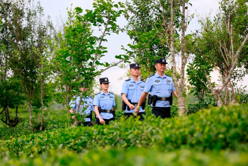 关于保山腾冲市 这“警茶”，香！的新闻(12)