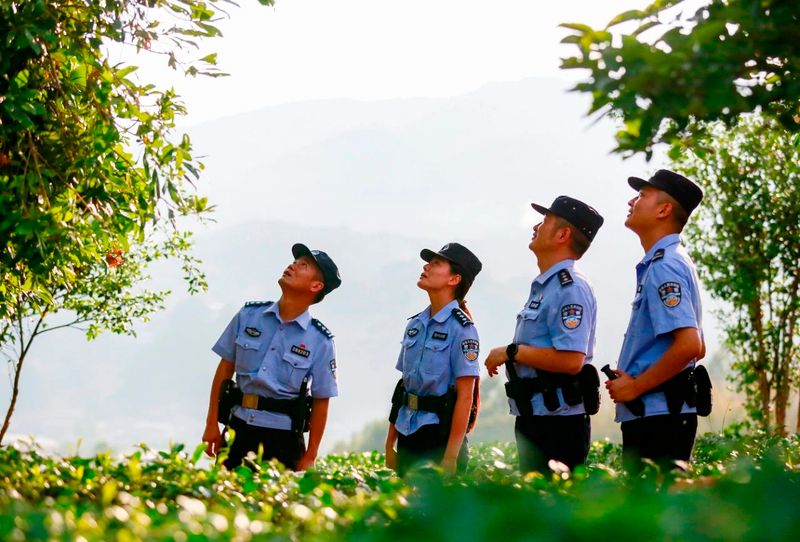 关于保山腾冲市 这“警茶”，香！的新闻(17)