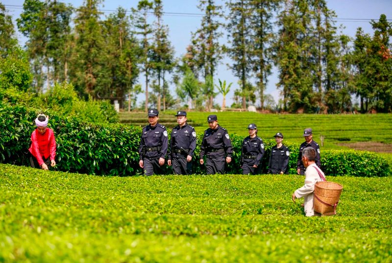 关于保山腾冲市 这“警茶”，香！的新闻(1)