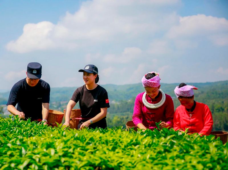 关于保山腾冲市 这“警茶”，香！的新闻(3)