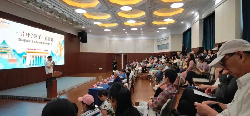 有关于缤纷仲夏，白茶芬芳，政和这两场品牌推介活动圆满落幕的相关内容(2)