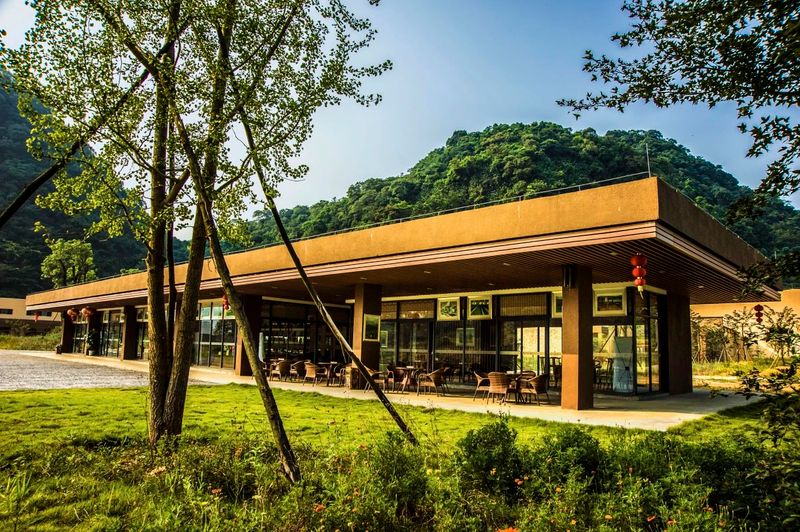 有关于“东方金美人”香飘世界!英德红茶致力打造“中国红茶第一品牌”的资讯(12)