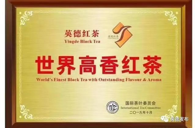 有关于“东方金美人”香飘世界!英德红茶致力打造“中国红茶第一品牌”的资讯(11)
