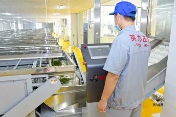 有关于“东方金美人”香飘世界!英德红茶致力打造“中国红茶第一品牌”的资讯(8)