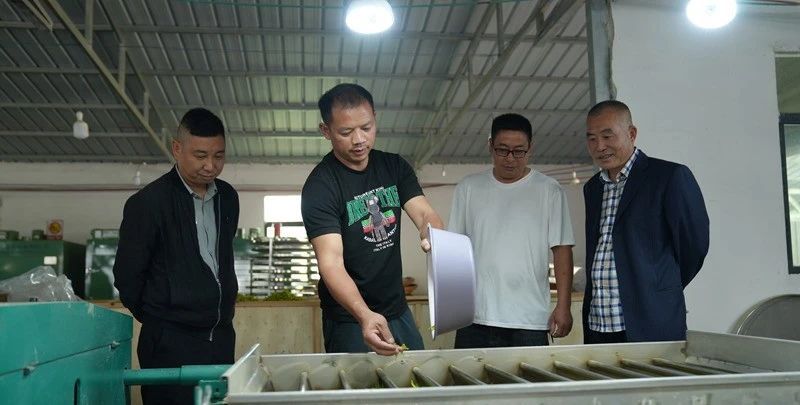 有关于“新质”引领,思南激活茶产业发展向“新”力的资讯(2)