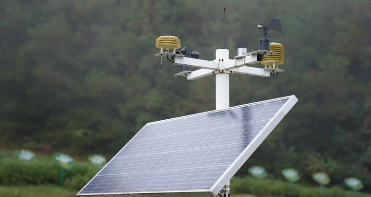 有关于“新质”引领,思南激活茶产业发展向“新”力的资讯(6)