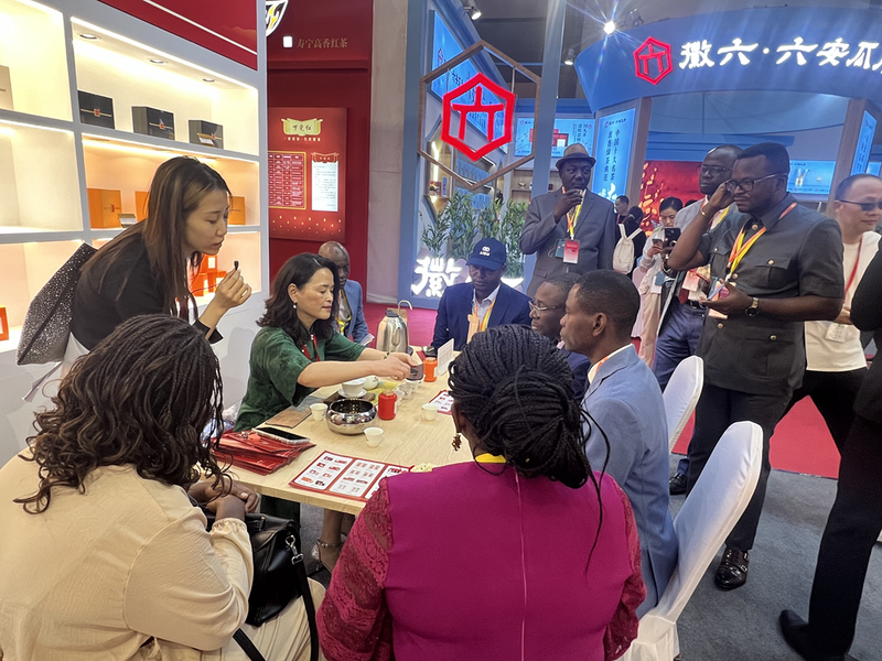 关于外国友人沉浸体验中国茶文化:2024北京“两展一节”盛况空前的相关内容(2)