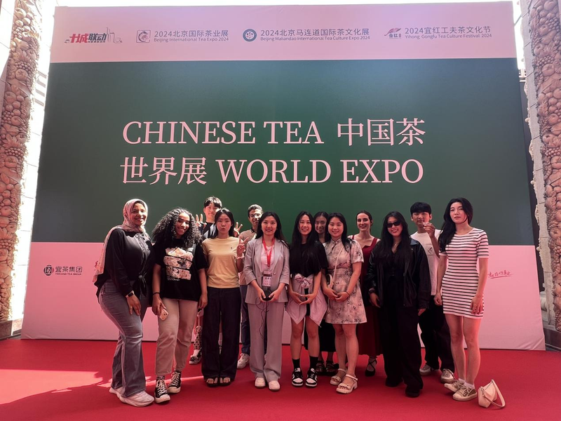 关于外国友人沉浸体验中国茶文化:2024北京“两展一节”盛况空前的相关内容