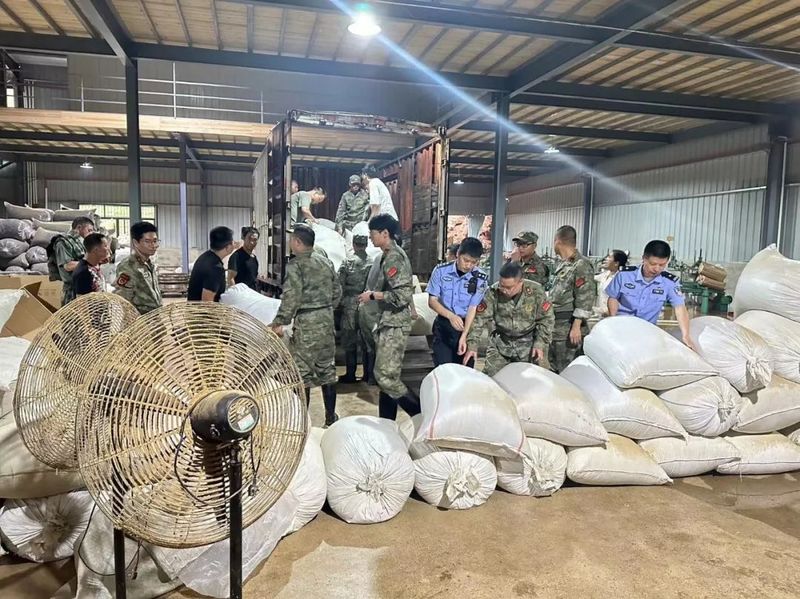 关于渭田镇:“汛”速出击 争当茶企“风雨”守护人的新闻