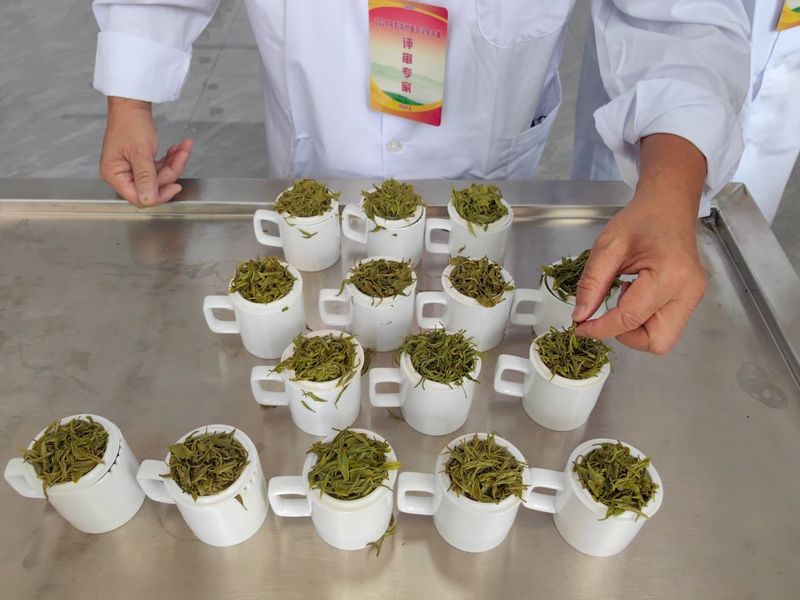 关于都匀毛尖非遗茶王花落谁家？的内容(3)