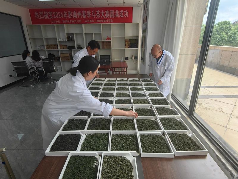 关于都匀毛尖非遗茶王花落谁家？的内容