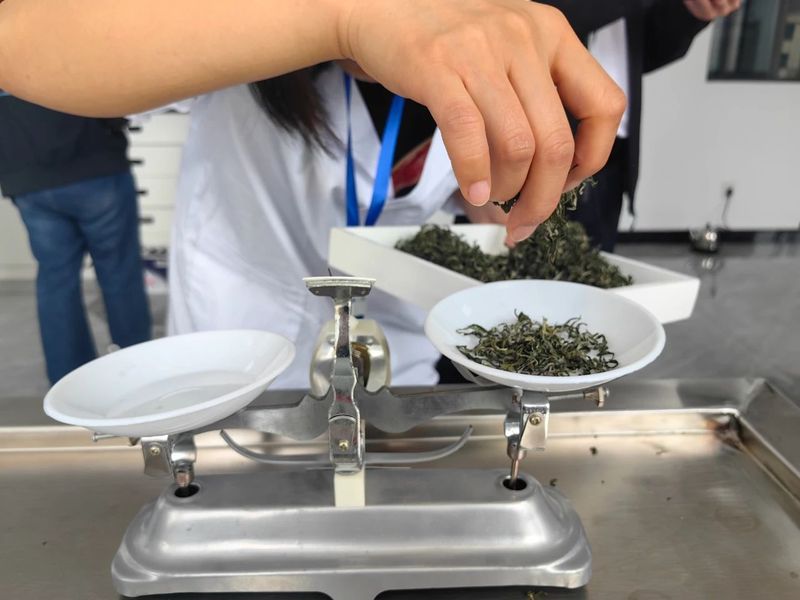 关于都匀毛尖非遗茶王花落谁家？的内容(2)