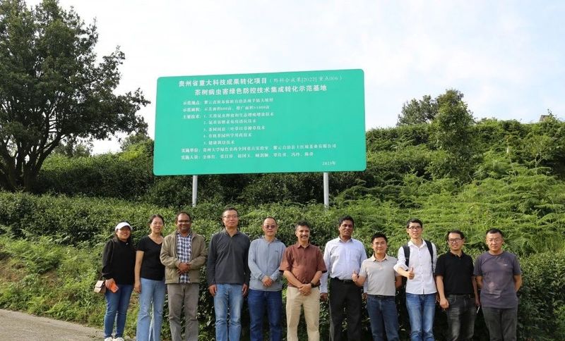 关于干净黔茶绿色防控先进技术将走出国门 斯里兰卡茶专家现场考察连连点赞的内容(1)