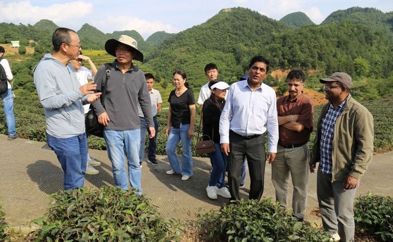 关于干净黔茶绿色防控先进技术将走出国门 斯里兰卡茶专家现场考察连连点赞的内容