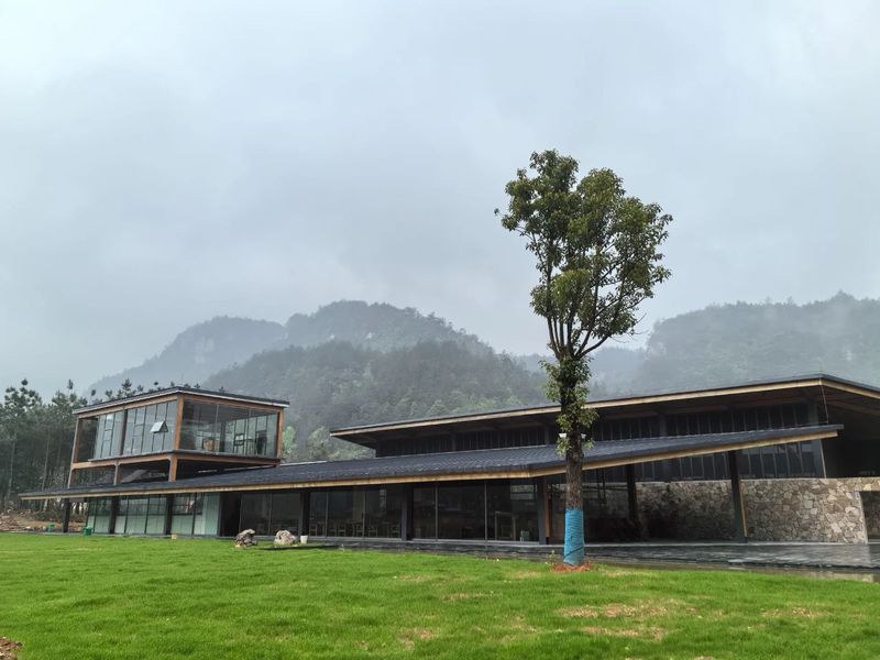 有关于长寿藤世外茶园：数智化时代下的张家界莓茶新篇章的消息(2)