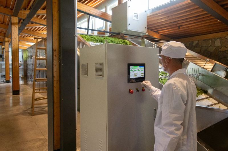 有关于长寿藤世外茶园：数智化时代下的张家界莓茶新篇章的消息(6)