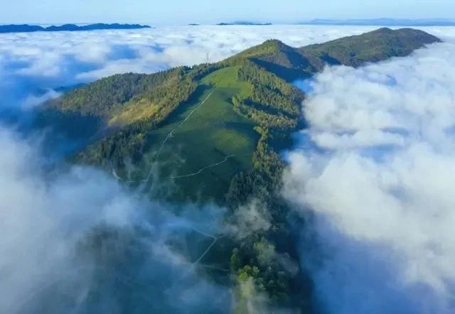 有关于湖南常德：桃花源里茶飘香的最新消息