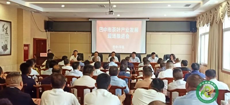 有关于做大做强巴中茶产业！这场推进会作出新部署～的内容(1)