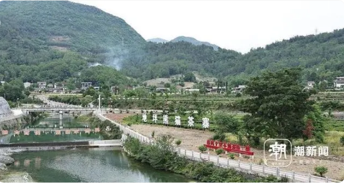 有关于四川“浙”杯茶，何以让跨越千里的山海情缘久久飘香的相关内容(3)