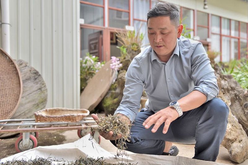 关于藤篾山下多云雾 坦笆山里茶飘香的相关内容(6)