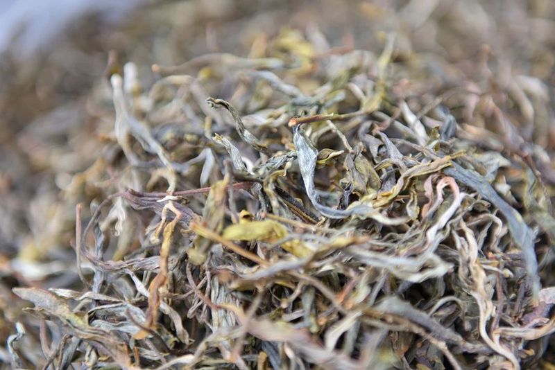 关于藤篾山下多云雾 坦笆山里茶飘香的相关内容(7)