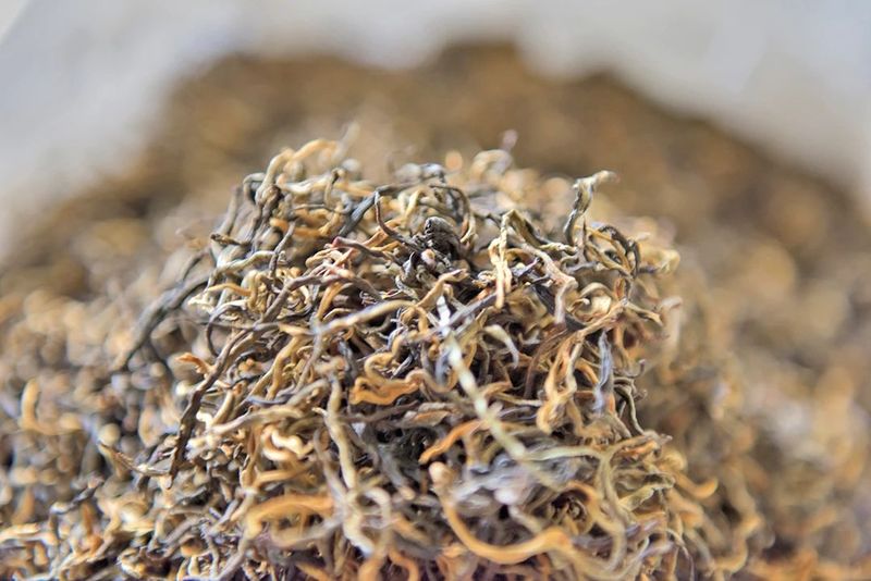 关于藤篾山下多云雾 坦笆山里茶飘香的相关内容(8)