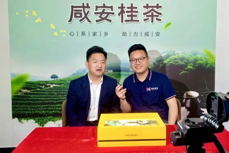 有关于全中国赏桂花最佳的地方，第一个打出“桂茶”品牌的相关内容(9)