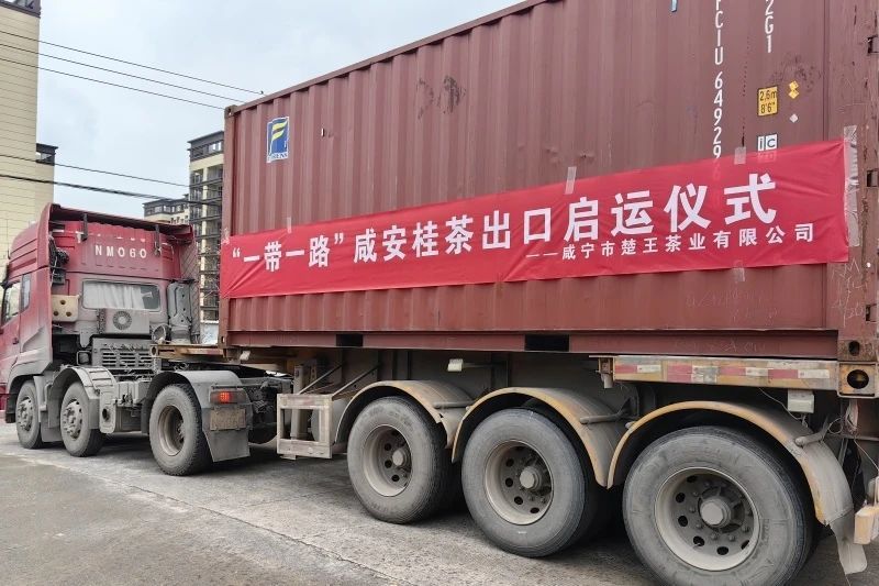 有关于全中国赏桂花最佳的地方，第一个打出“桂茶”品牌的相关内容(7)