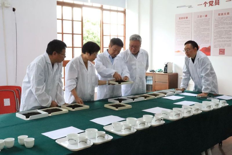 关于2024年天姥红、天姥云雾精品茶评审活动圆满结束！的新闻(1)