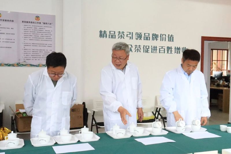 关于2024年天姥红、天姥云雾精品茶评审活动圆满结束！的新闻(3)