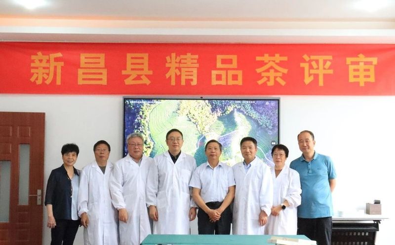 关于2024年天姥红、天姥云雾精品茶评审活动圆满结束！的新闻
