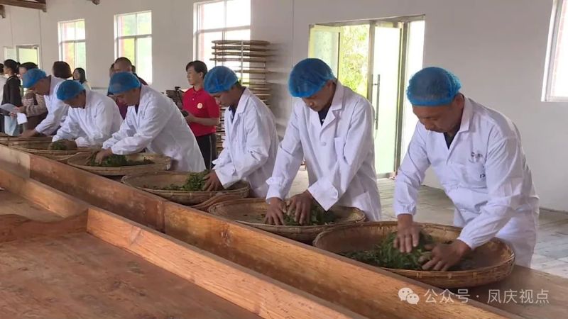 关于凤庆县举办2024年“文化和自然遗产日”滇红茶制茶技能竞赛的最新消息(1)