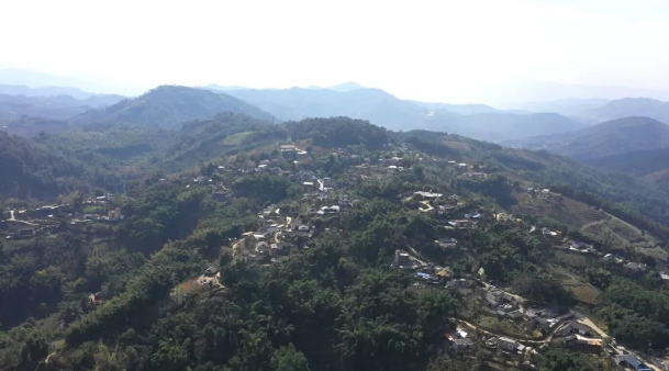 关于到德昂族山寨，过一天有滋有味的“茶生活”的最新消息(1)