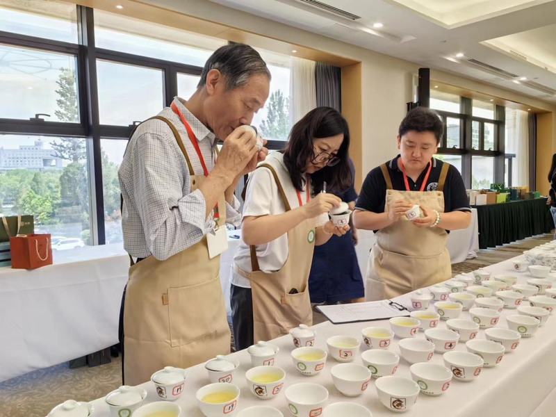 有关于2024“两展一节”茶产品与包装调查推选在京成功举行的相关信息