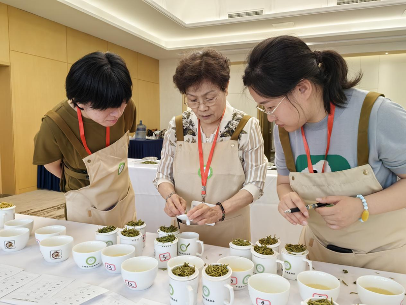 有关于2024“两展一节”茶产品与包装调查推选在京成功举行的相关信息(1)